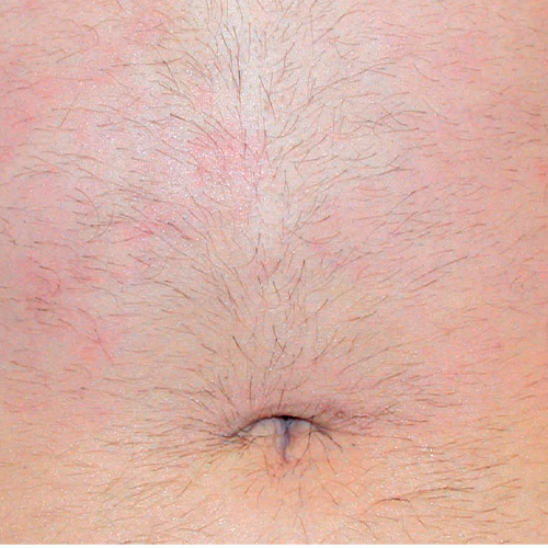 crystal 3d plus 2_ crystal 3d plus 2_